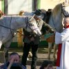 Blagoslov konj 2009 - 027
